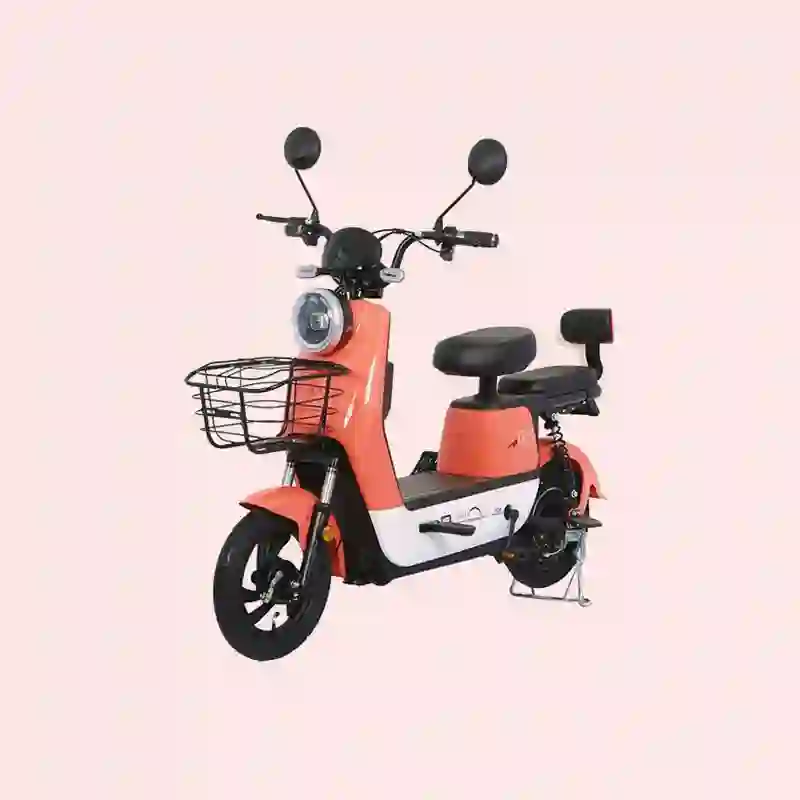 electric bike e bike1