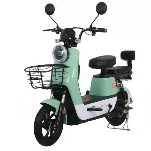 electric bike e bike2