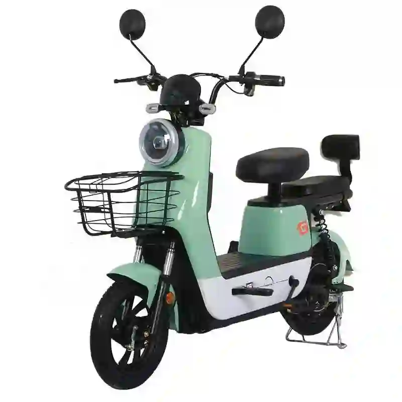 electric bike e bike2