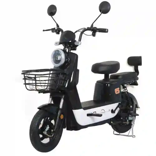 electric bike e bike4