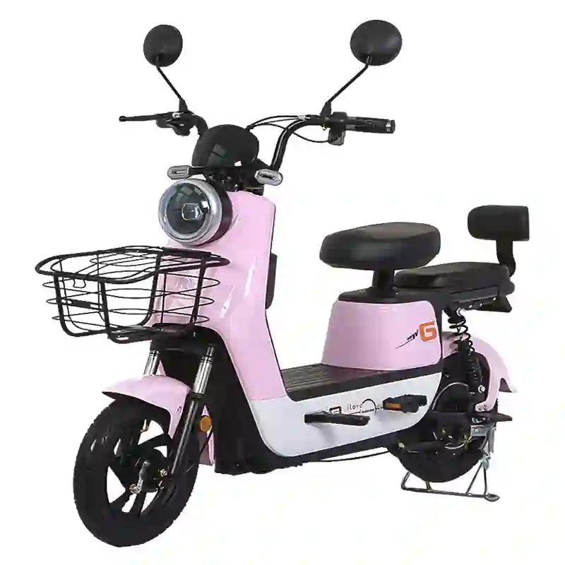 electric bike e bike5