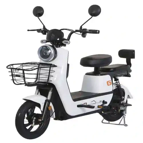 electric bike e bike6
