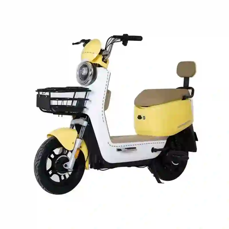 electric bikes for adults2