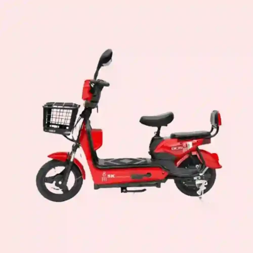 electric bike 1