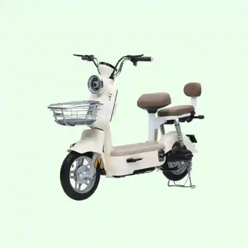 electric for bike1