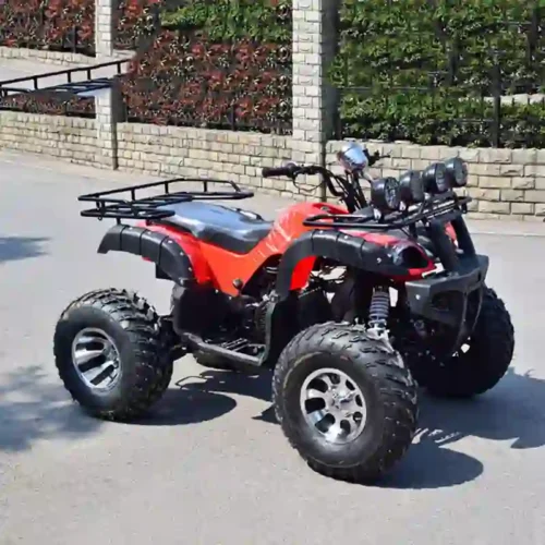electric quad (4) All-Terrain Off-Road Electric Quad Bike