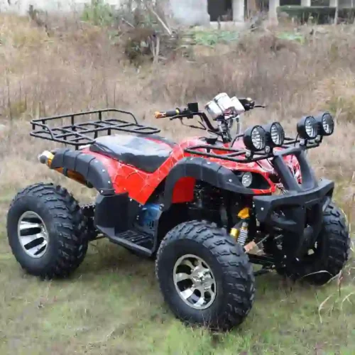 electric quad (5) All-Terrain Off-Road Electric Quad Bike