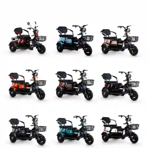 electric tricycle (1)