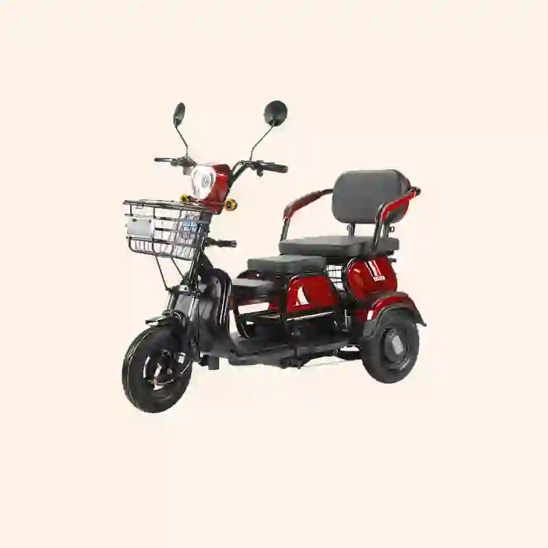 electric tricycle (6)