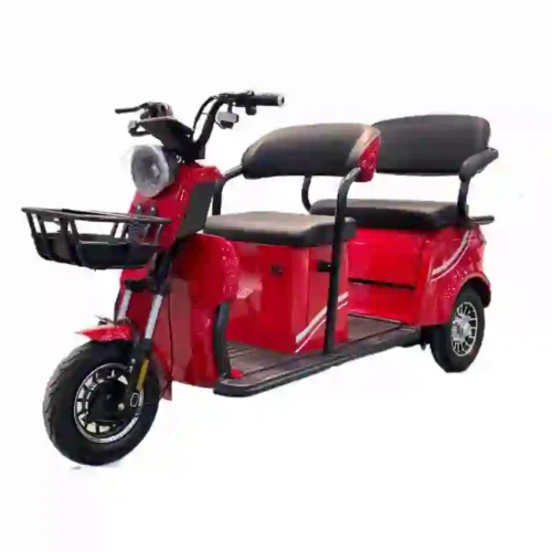 electric tricycle for adults (1)