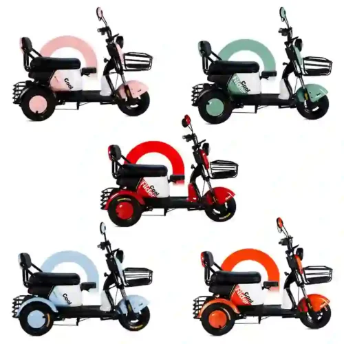electric trike (1)