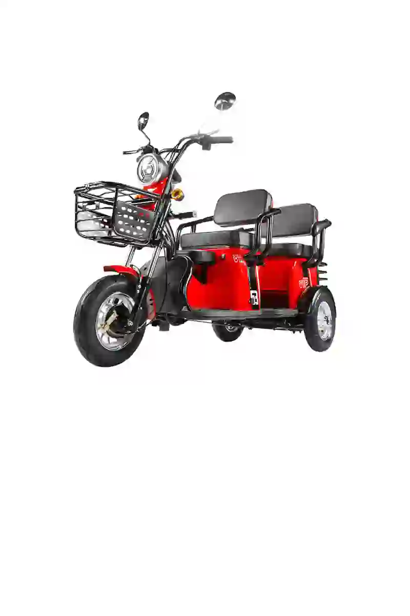 electric trike (3)