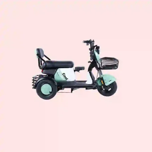 electric trike (6)