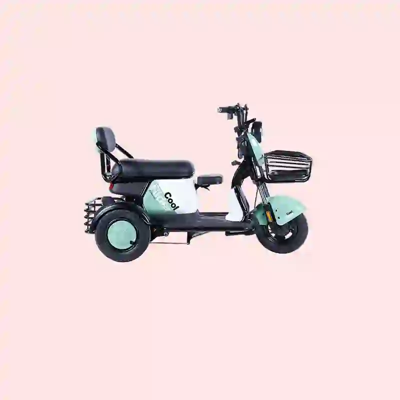 electric trike (6)