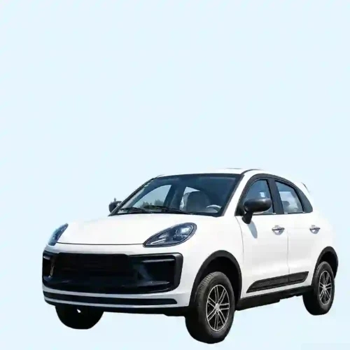 Electric Vehicles for Eco-Friendly Drivers