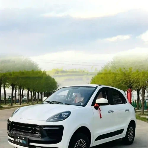 Electric Vehicles for Eco-Friendly Drivers