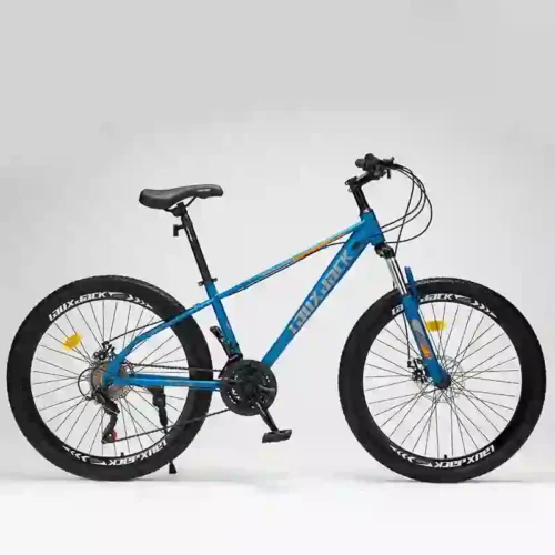 fat bike (1)
