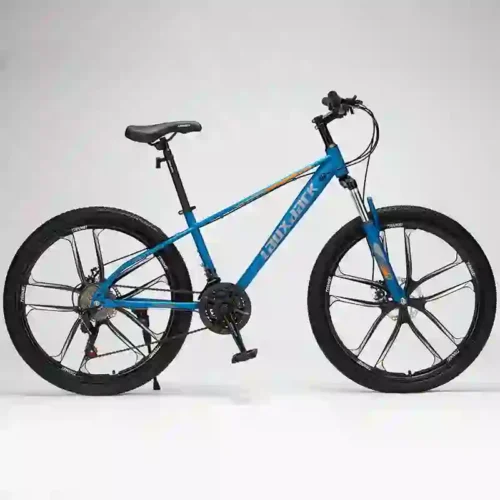 fat bike (4)