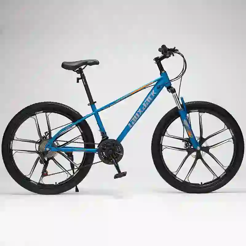 fat bike (4)