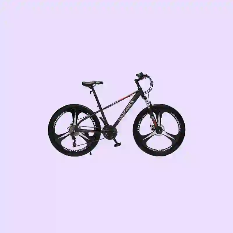 fat bike (6)