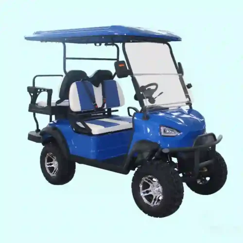 Durable Golf Buggy for B2B Wholesale,