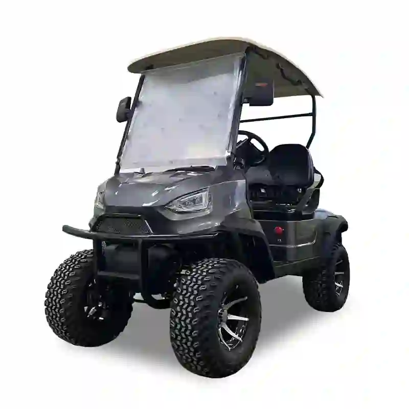 Durable Golf Buggy for B2B Wholesale,