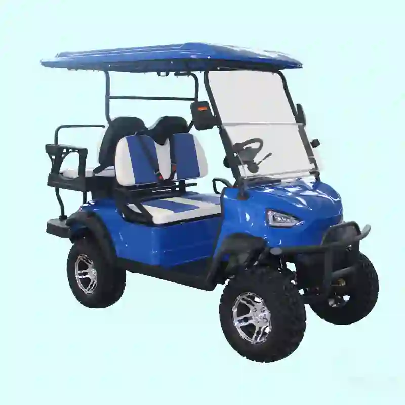 Durable Golf Buggy for B2B Wholesale,