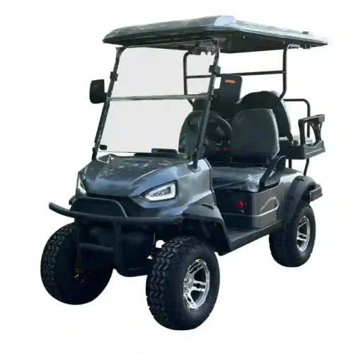 Electric Golf Cart  Off-Road Lifted Golf Buggy