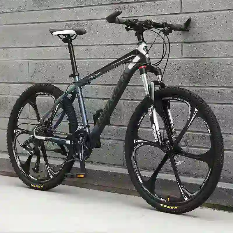 gravel bike (1)