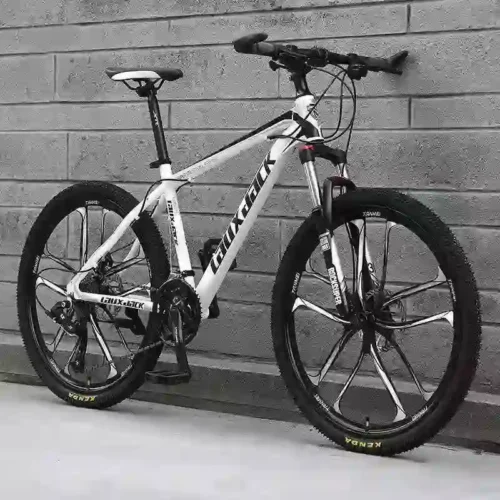 gravel bike (2)
