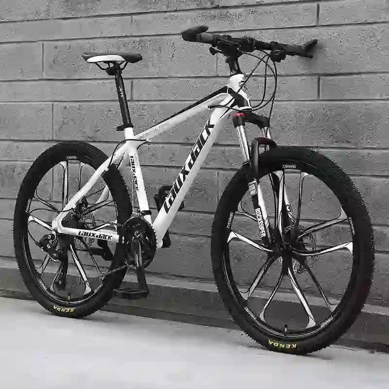 gravel bike (2)