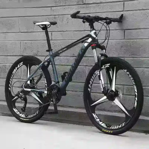 gravel bike (3)