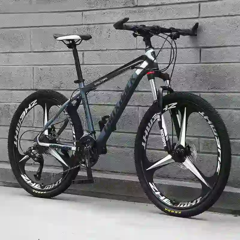 gravel bike (3)