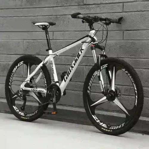 gravel bike (4)