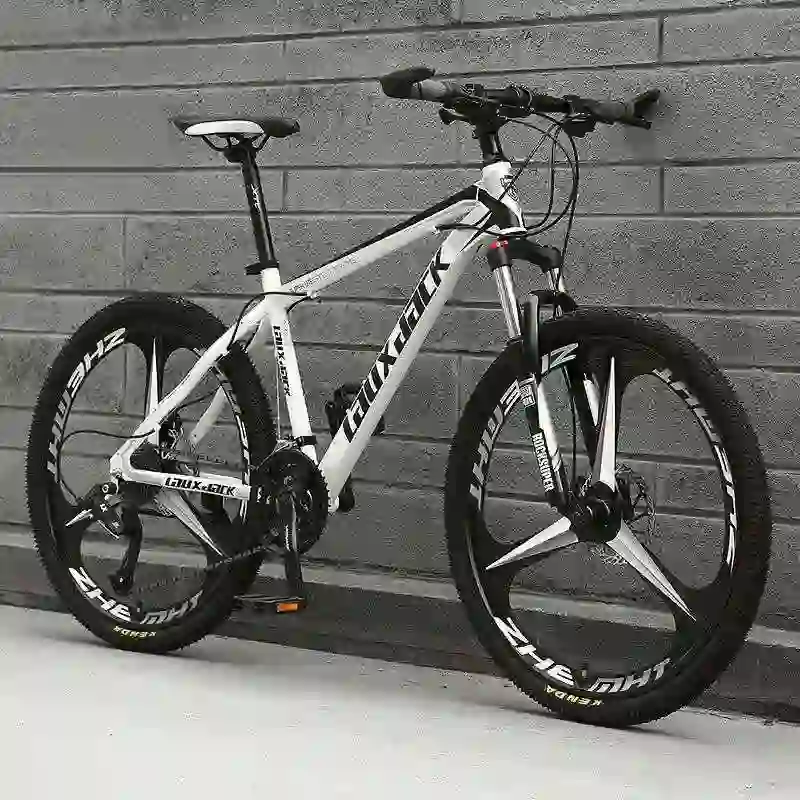 gravel bike (4)
