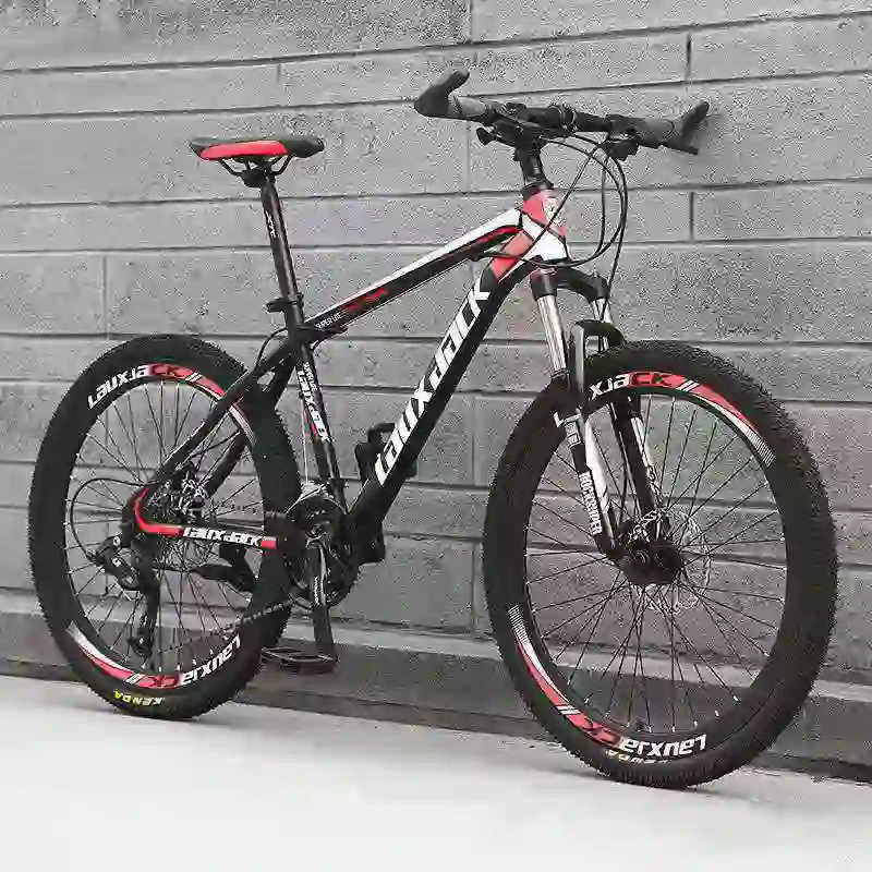 gravel bike (5)
