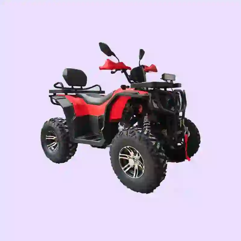 Mini Quad Bike for Off-Road Adventure