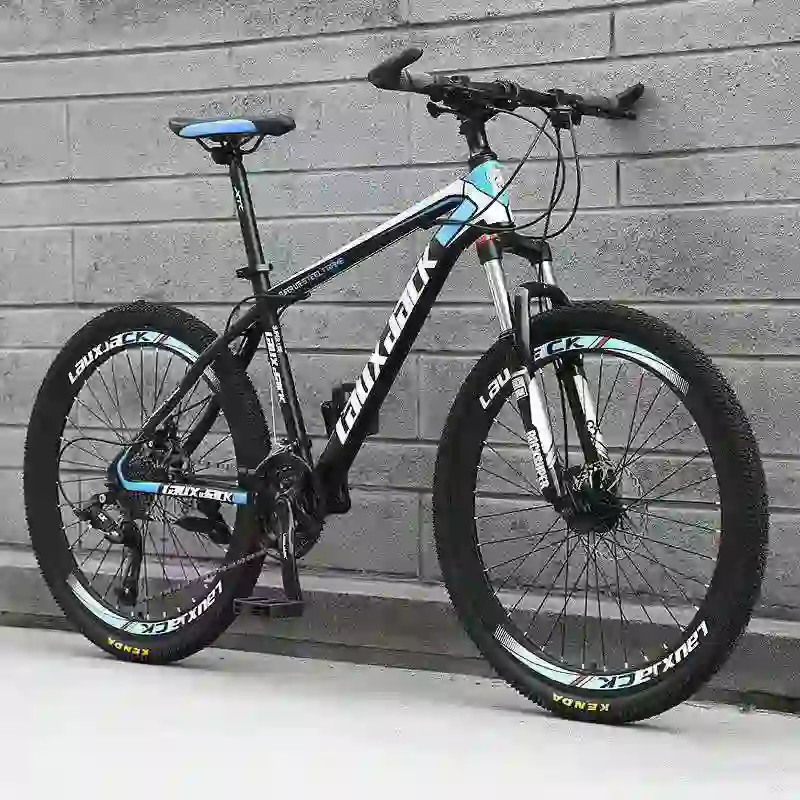 mountain bike (5)