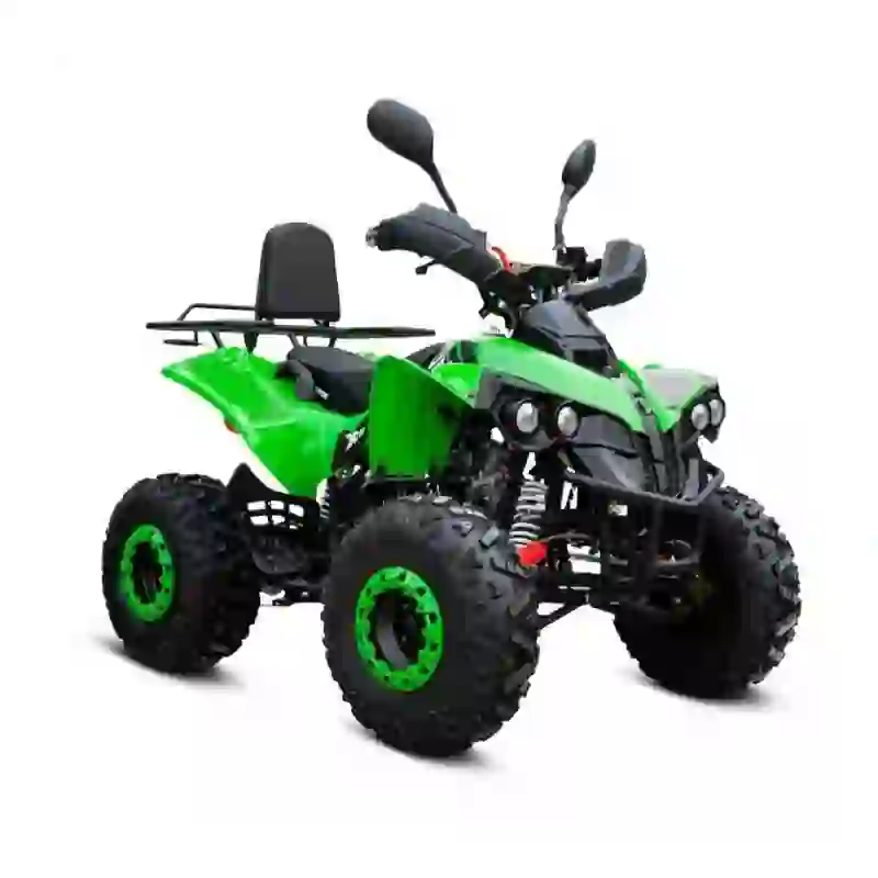 quad 4x4 (2) High-Performance Utility Quad 4x4