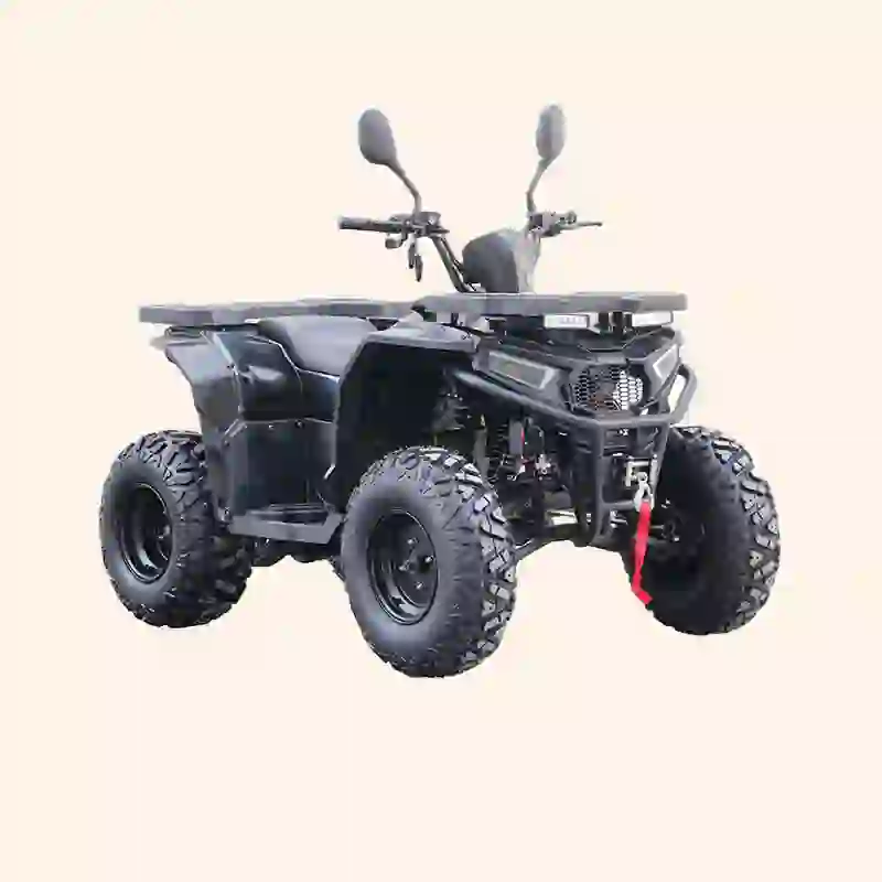 quad bike 1