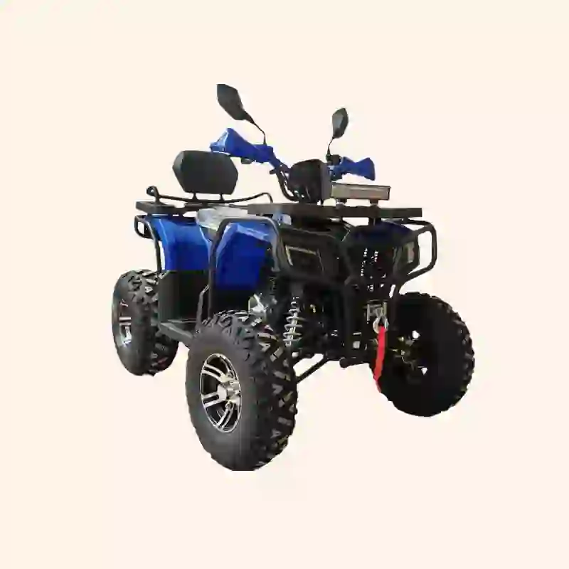 Heavy-Duty Blue Quad Bikes for Sale