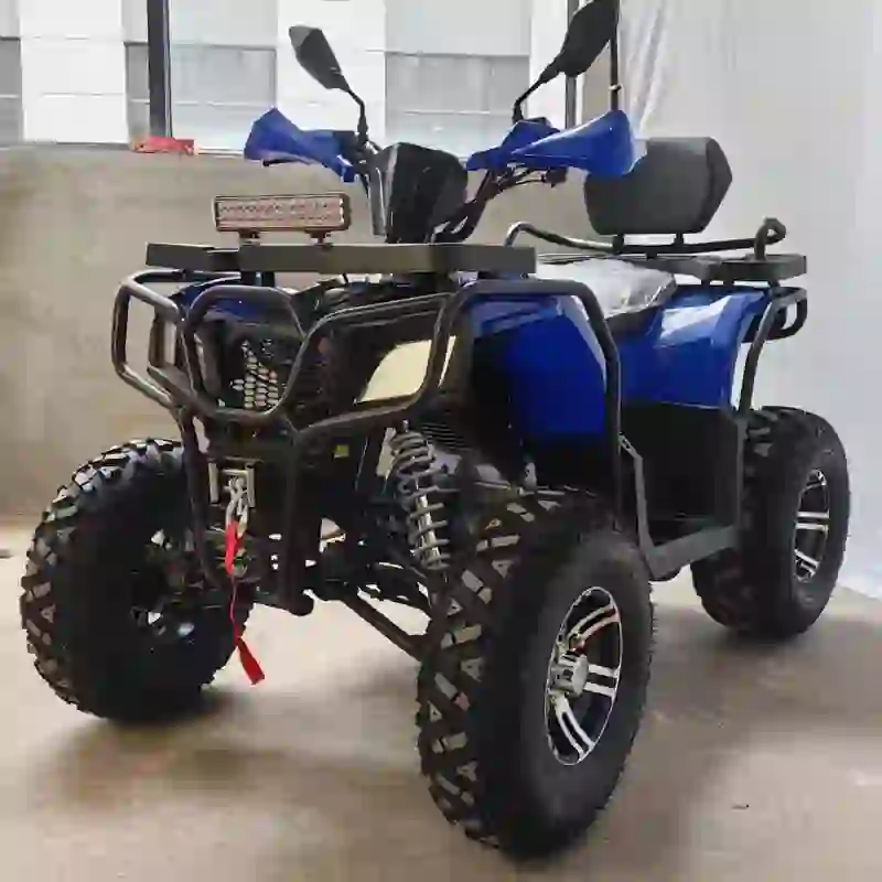 Heavy-Duty Blue Quad Bikes for Sale