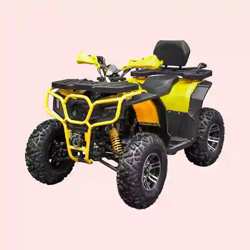 Heavy-Duty Quads for Sale Bike for Farm Use