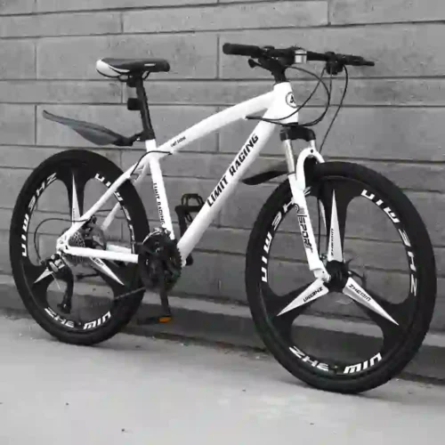 road bike (4)