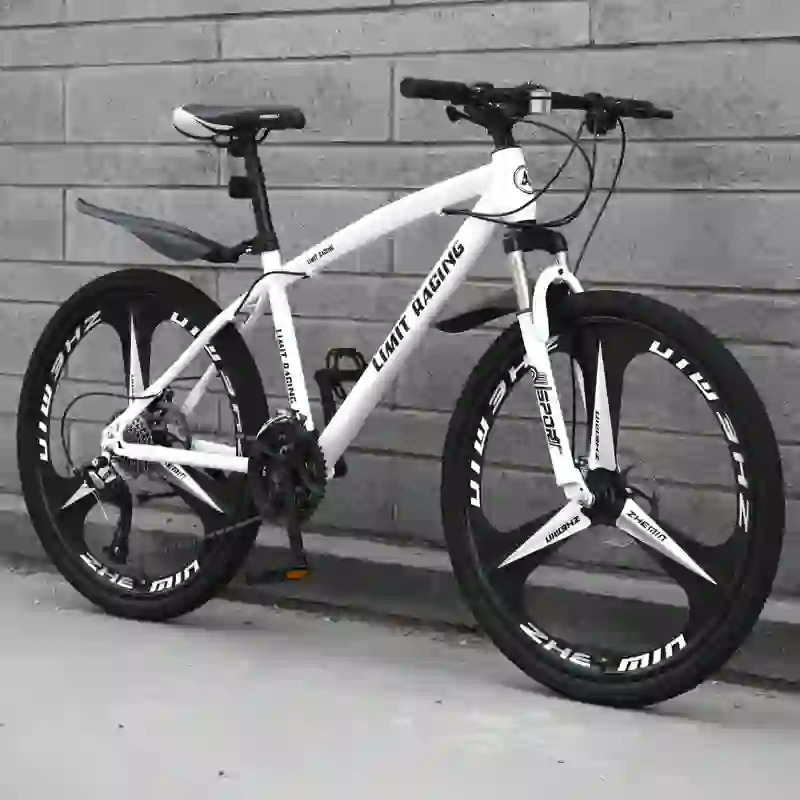 road bike (4)