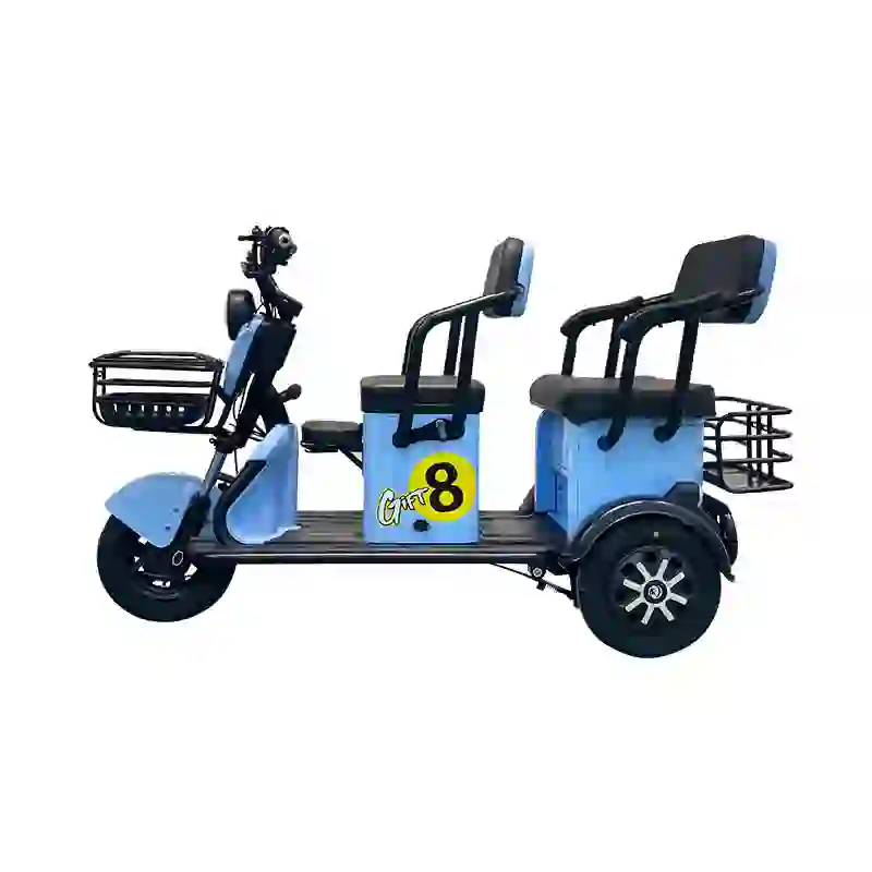 three wheel electric bicycles (1)