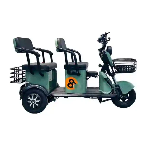 three wheel electric bicycles (2)
