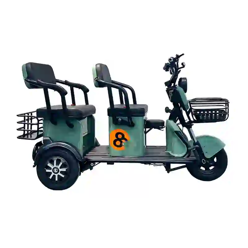 three wheel electric bicycles (2)