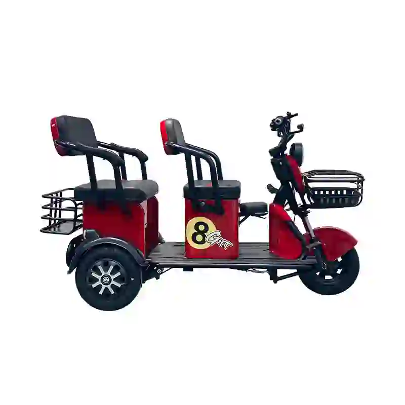 three wheel electric bicycles (4)
