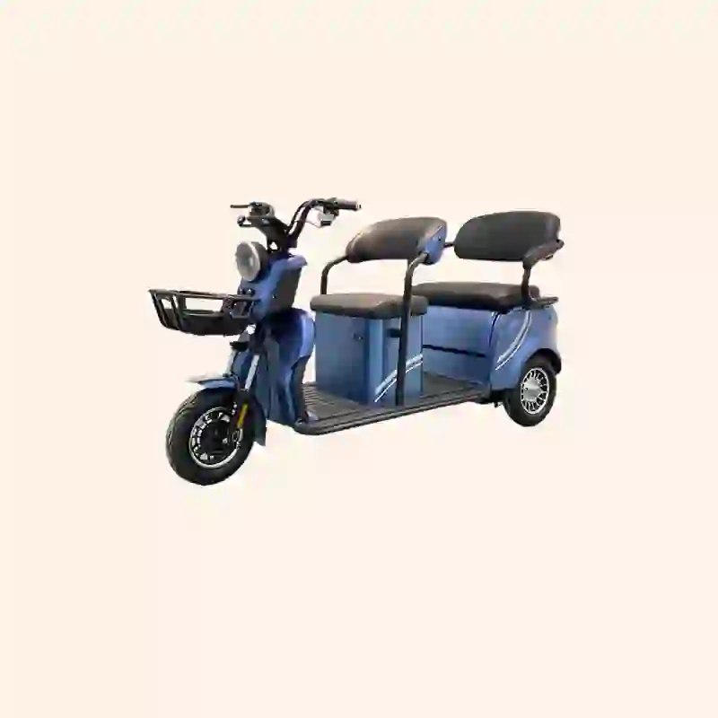 three wheel electric bicycles (6)